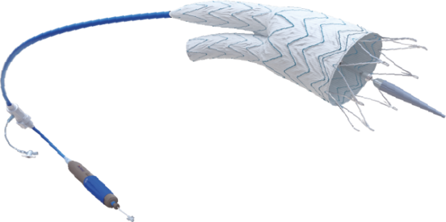 Castor - TEVAR Proximal multi mini springs