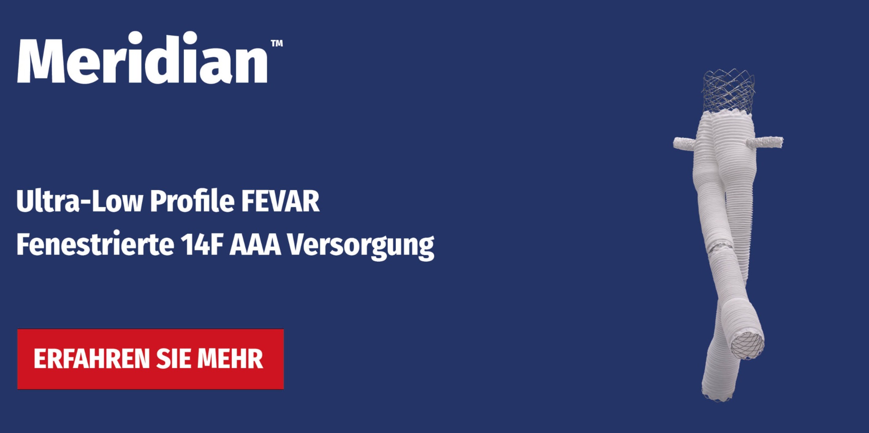 Learn More, Meridian 